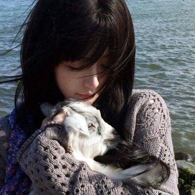 旗安84的奇趣民宿